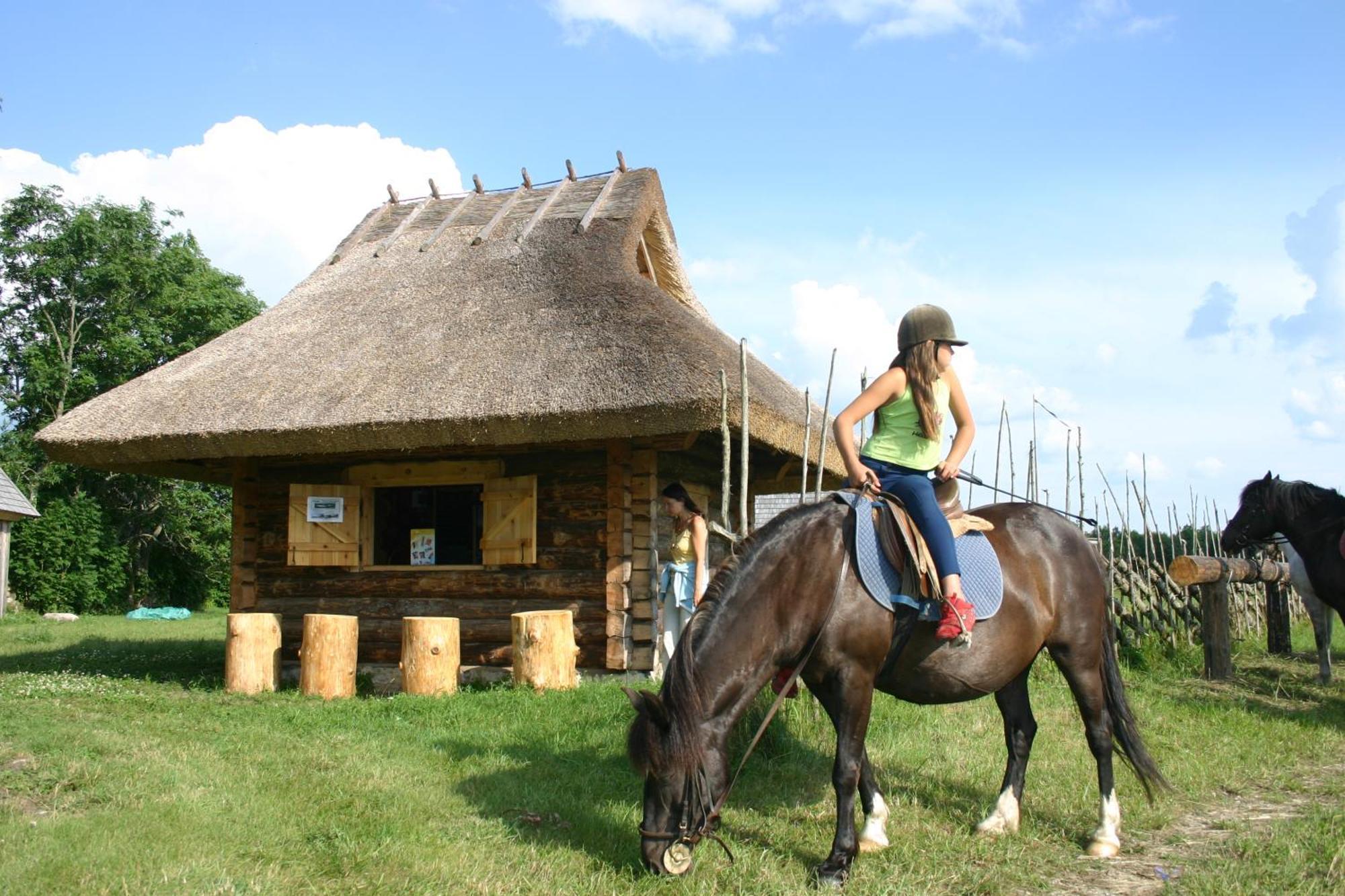 Villa Anni Tourism Farm Tammese Exterior foto