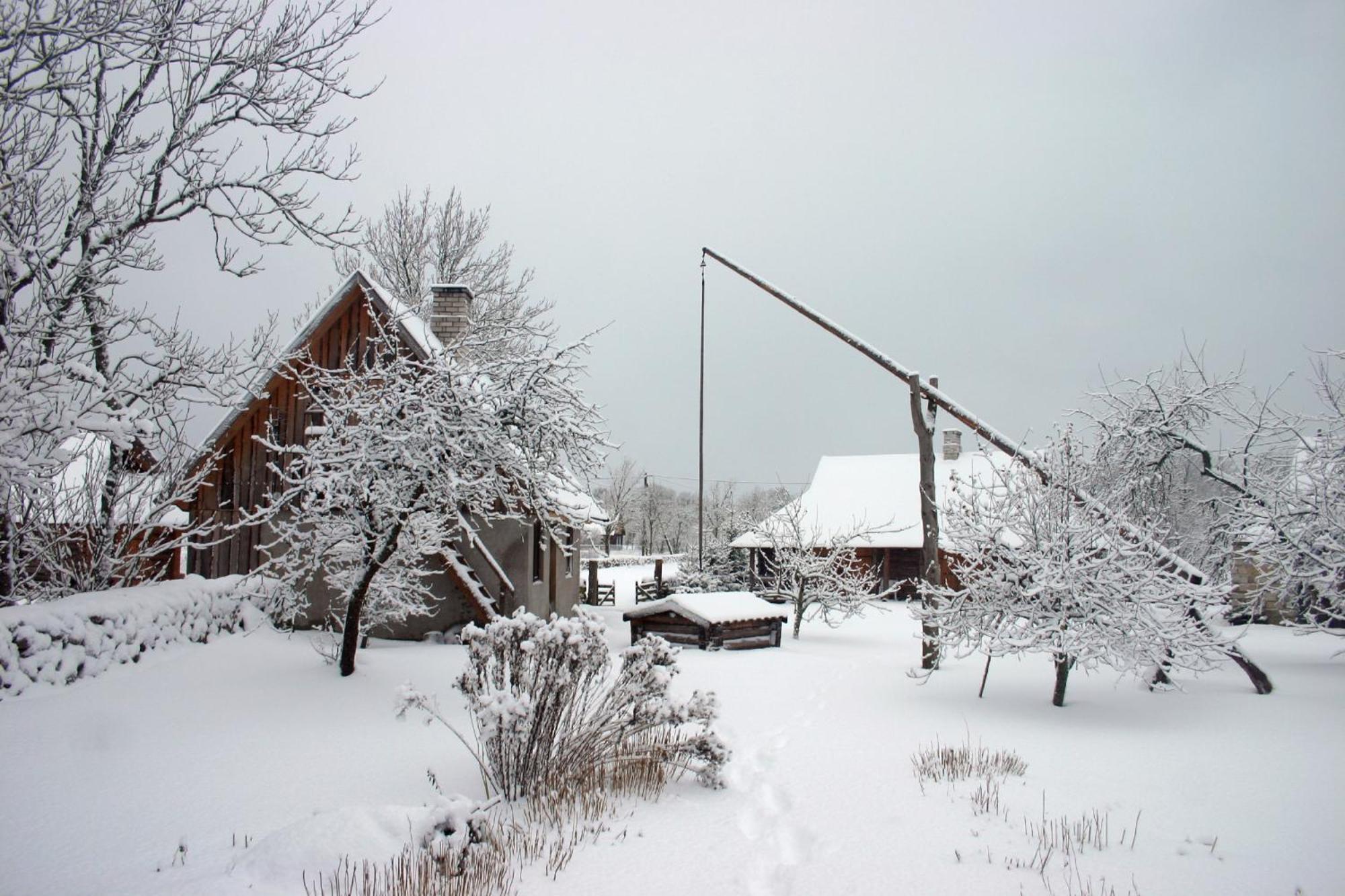 Villa Anni Tourism Farm Tammese Exterior foto